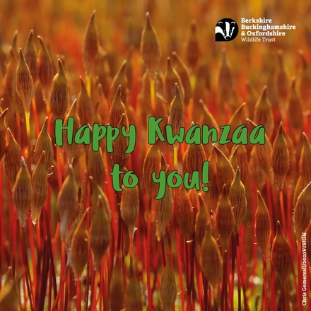 Send an e-card for Kwanzaa eCards