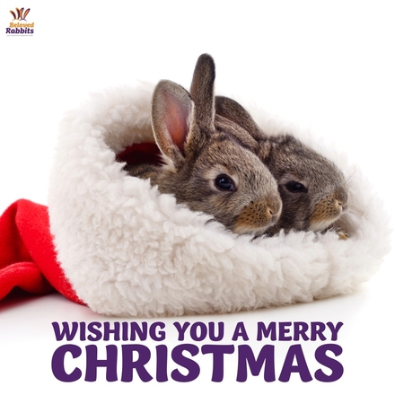 Send Christmas E-Cards eCards