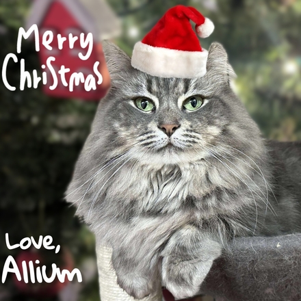 Send Christmas E-Cards eCards