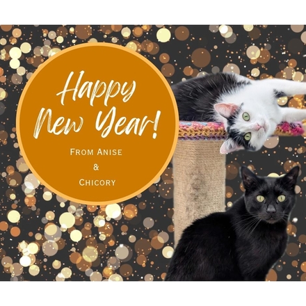 Send New Year E-Cards eCards