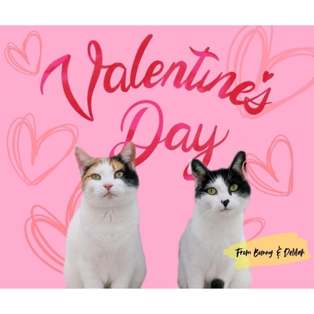 Send a Valentine's Day E-Card eCards