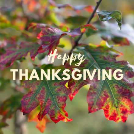 Send some festive cheer with an eco-friendly ecard from The Carbon Community and eCards