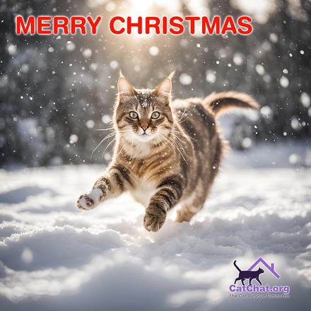 Send Christmas E-Cards eCards