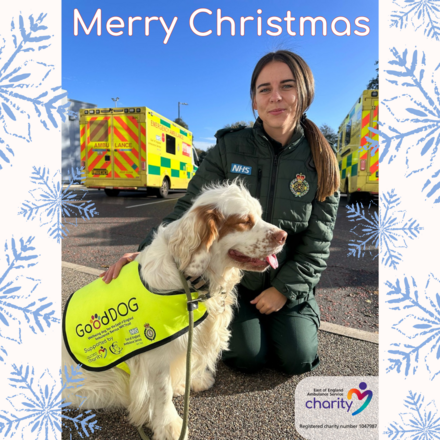 Send Christmas E-Cards eCards