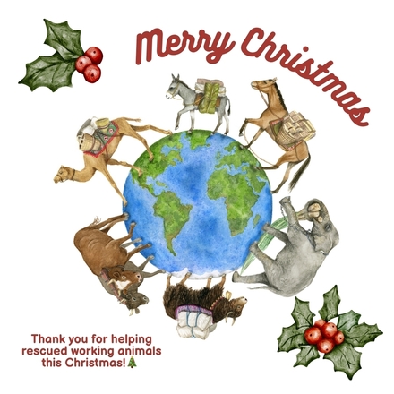 Gift that Gives - Merry Christmas eCards