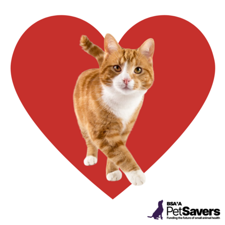 Send a Valentine's Card eCards