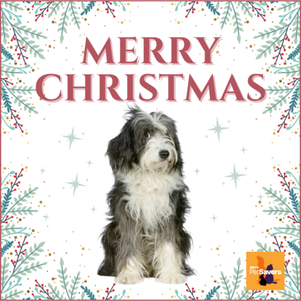 Send Christmas E Cards eCards