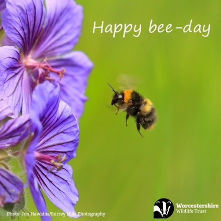 Send a Birthday E-Card eCards