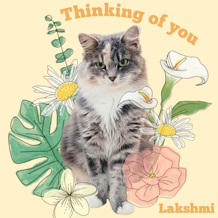 Send a Coventry Cat Group Thinking of You e cards eCards