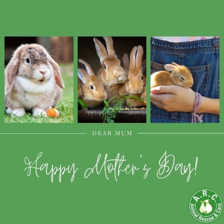 Send a Mother's Day E-Card eCards