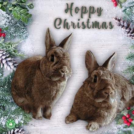 Send Christmas E-Cards eCards