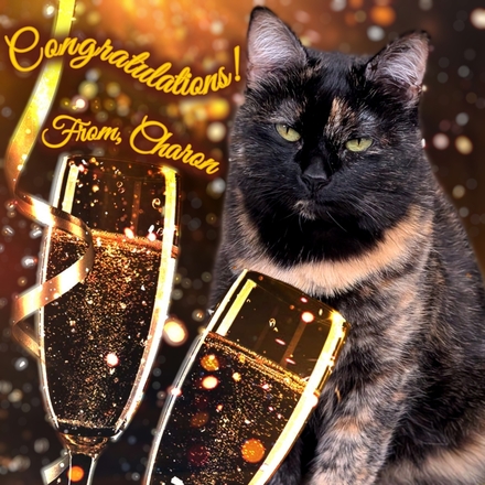 send e Congratulations Cards from Coventry Cat Group eCards