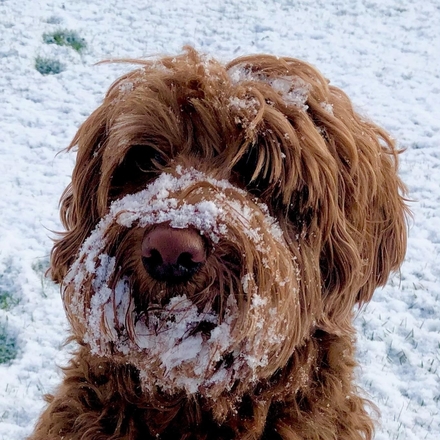 Send a Vision Care Christmas e Cards  eCards