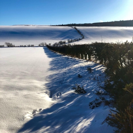 Send Vision Care's Company Christmas e Cards  eCards