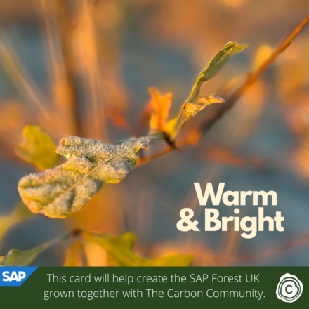 Send a Holiday eCard supporting SAP Forest UK in partnership with The Carbon Community eCards