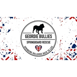 Geordie Bullies Springboard eCards