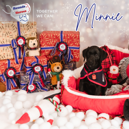 Spread cheer with our Christmas ecards eCards