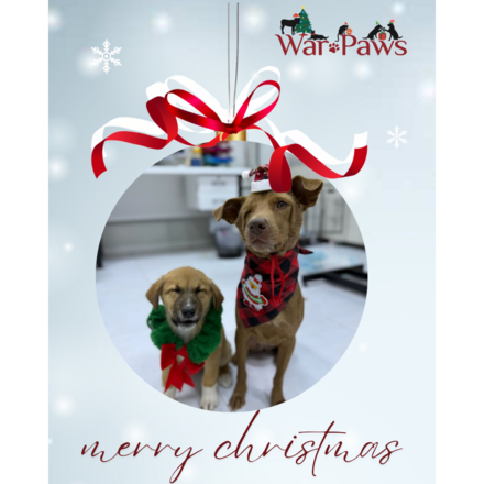 Send Christmas E-Cards eCards