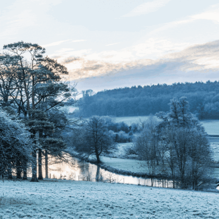 Send a Christmas e-card eCards