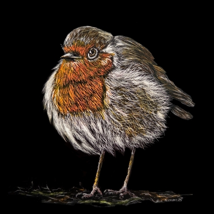 Send eChristmas cards eCards