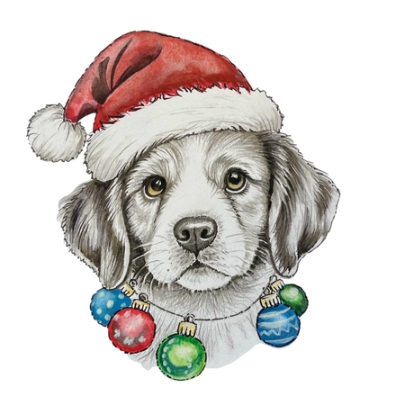 Merry Christmas From Contact Hostel  eCards