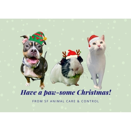 Send Holiday E-Cards eCards