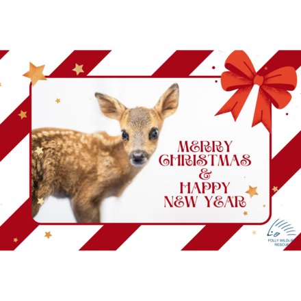 Send an ecard to the wildlife lover in your life! eCards