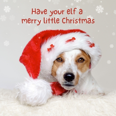 Christmas Card eCards