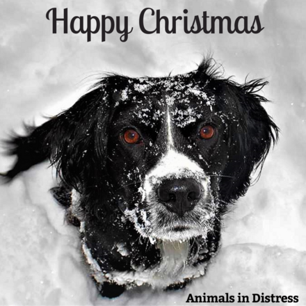 Send festive Christmas and winter E-Cards eCards