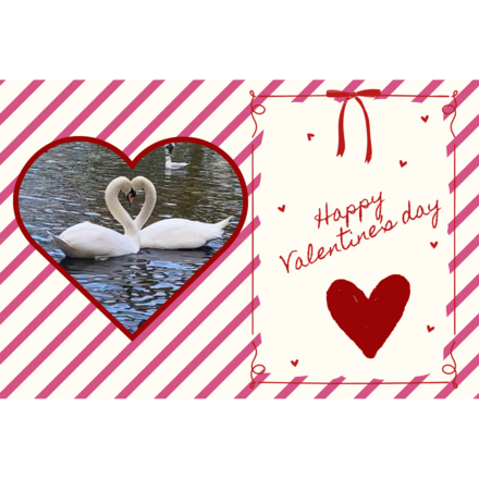 Send a Valentine's Day E-Card eCards