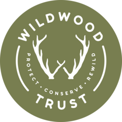 Wildwood Trust eCards
