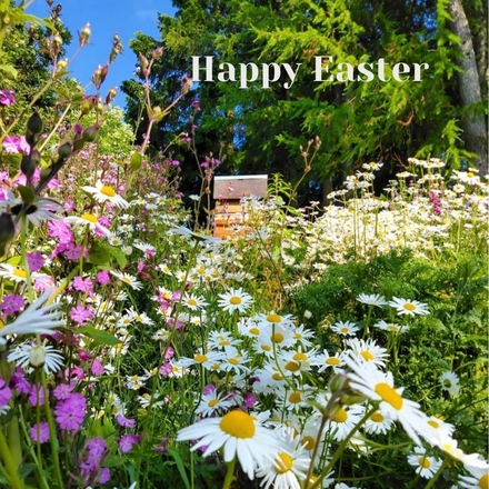 Send Easter E-Cards eCards