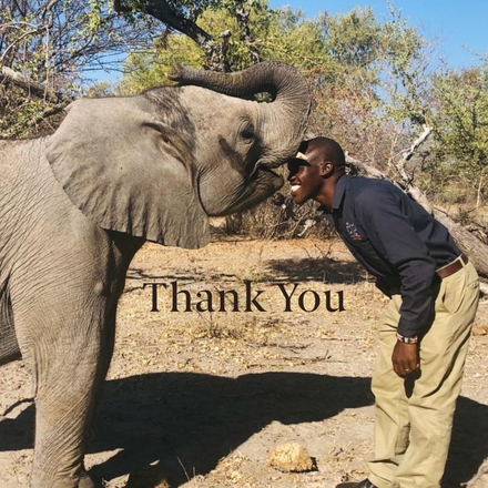 Send Thank You E-Cards eCards