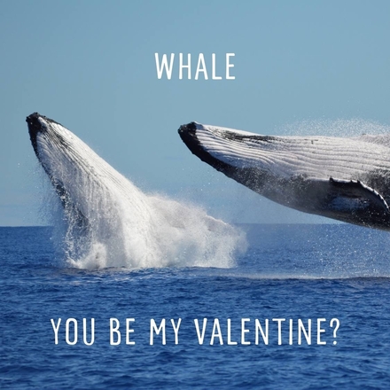 Send a Valentine's Day E-Card eCards