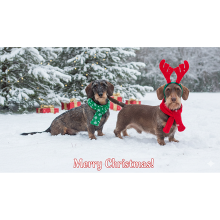 Christmas Wires in the snow eCards