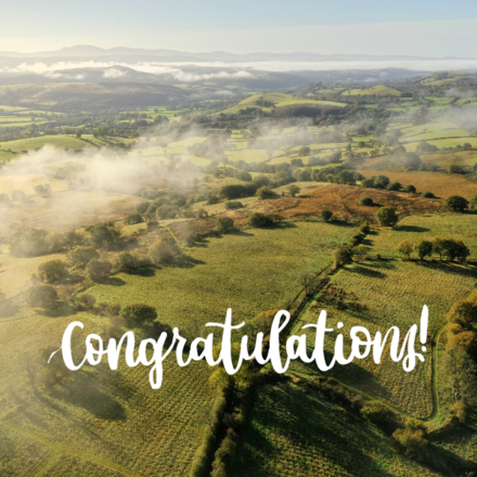 Brighten someone’s day with an eco-friendly ecard from The Carbon Community and  eCards