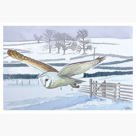 Send Christmas E-Cards eCards