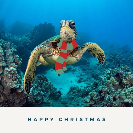 Send Corporate Christmas E-Cards eCards