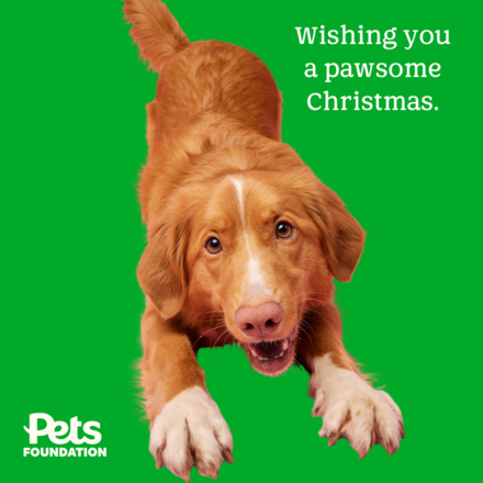 Send Christmas E-Cards eCards