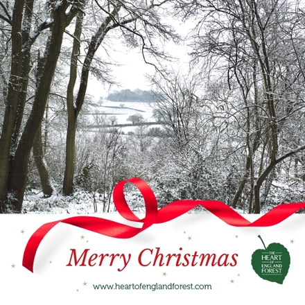 Send a Christmas Ecard eCards