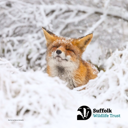 Send Christmas E-Cards eCards