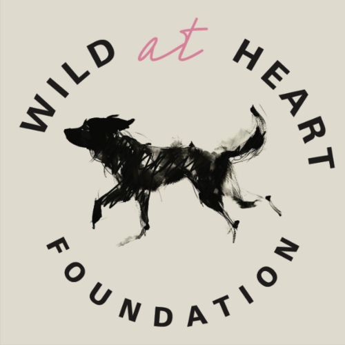Wild at Heart Foundation eCards