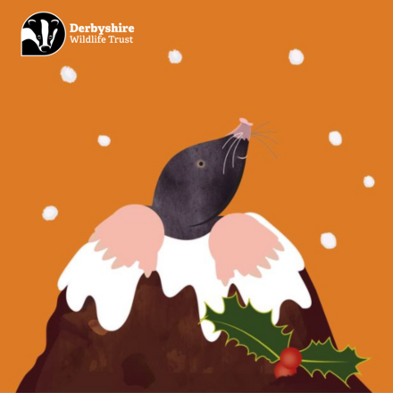 Send a Christmas Card eCards