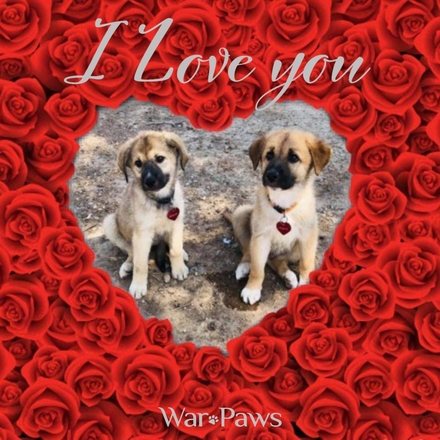 Send a Valentine's Day E-Card eCards