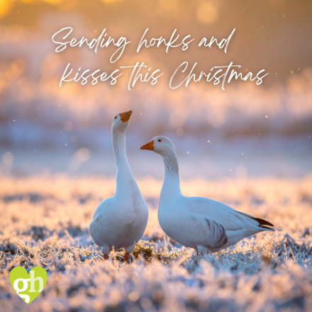 Send Christmas E-Cards eCards