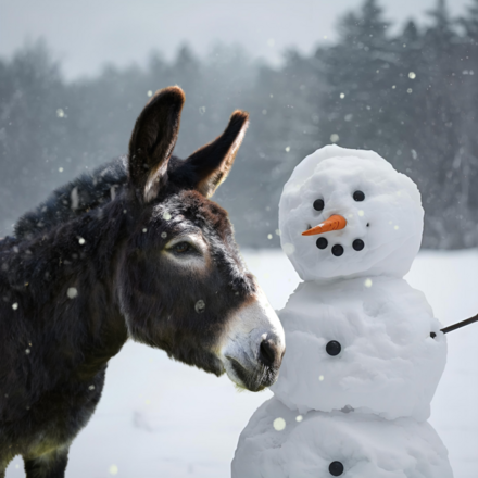 Send Christmas E-Cards eCards