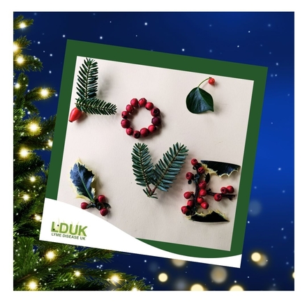 LDUK Charity Christmas Cards eCards