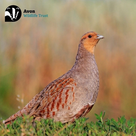 Send Christmas E-Cards eCards