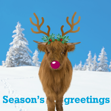 Send Christmas e-cards  eCards