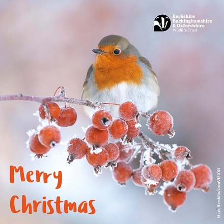 Send Christmas e-cards eCards